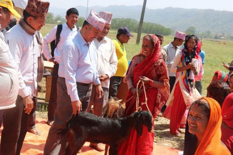 किसानलाई बाख्रा वितरण